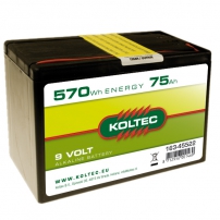 Batterij 9 Volt - 570 Wh 75 Ah, alkaline