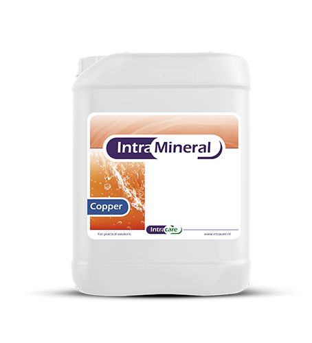 Intra Mineral Kupfer - 10 Liter
