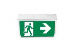 Emergency lighting / A805 / Surface-mounted / Auto / IP65 / including 2 pictograms per fixture - whe
