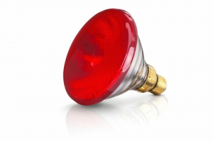 Heat lamp EB 100W Red Phillips
